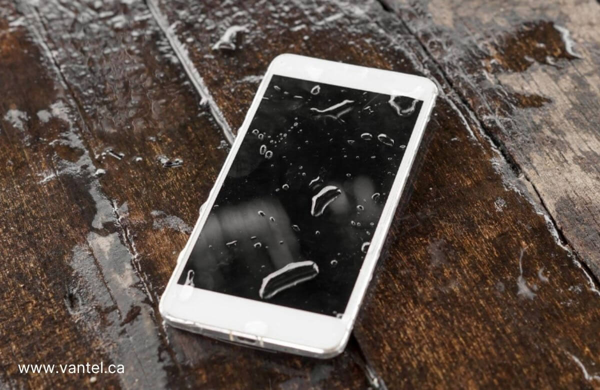 Water Damaged iPhone Turns On But Screen is Black Vantel Vancouver